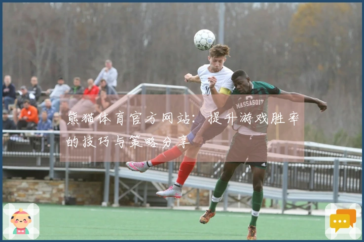熊猫体育官方网站：提升游戏胜率的技巧与策略分享