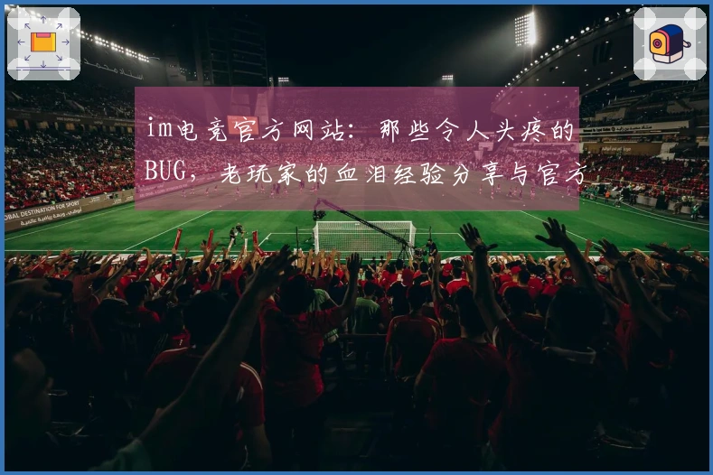im电竞官方网站：那些令人头疼的BUG，老玩家的血泪经验分享与官方修复进展