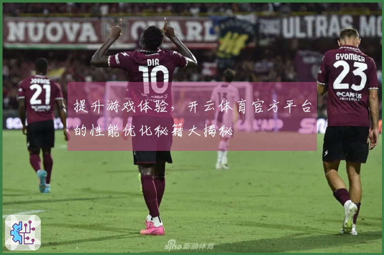 提升游戏体验，开云体育官方平台的性能优化秘籍大揭秘