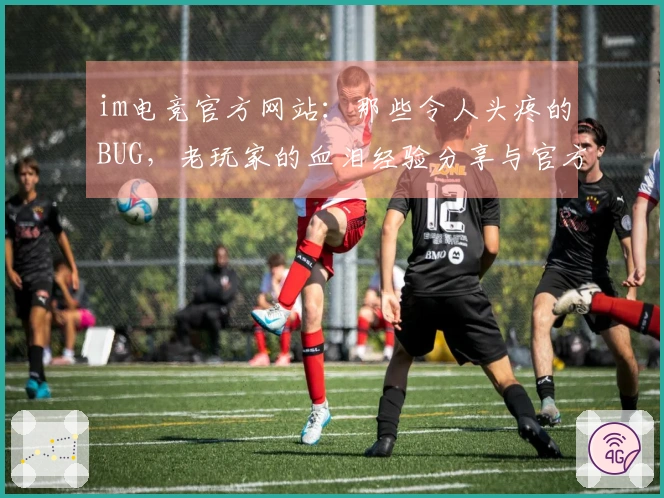 im电竞官方网站：那些令人头疼的BUG，老玩家的血泪经验分享与官方修复进展