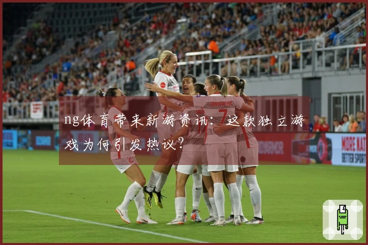 ng体育带来新游资讯：这款独立游戏为何引发热议？