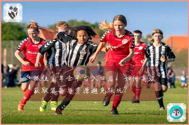 抓住金年会平台入口后，如何高效获取装备与资源避免踩坑？